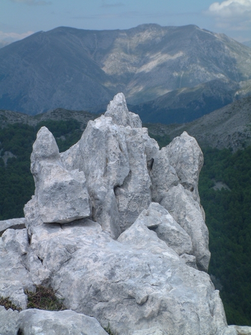 Sculture naturali